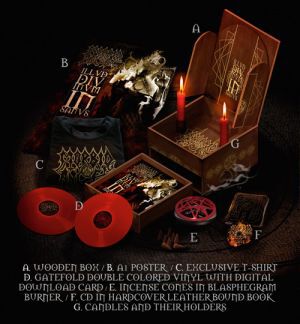 Illud divinum insanus