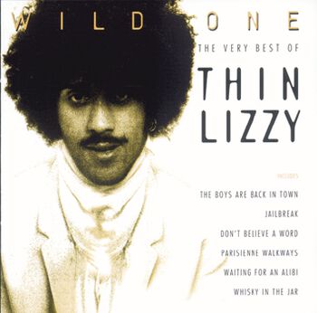 Wild one - The very best of