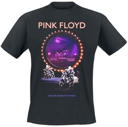 Delicate Sound Of Thunder Stage, Pink Floyd, Camiseta