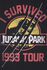 I Survived 1993 Tour