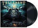 Dark roots of earth, Testament, LP