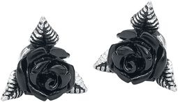 Black Rose, Alchemy Gothic, Set de Pendientes