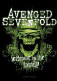Welcome To The Family, Avenged Sevenfold, Bandera