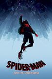 Into The Spider-Verse (Fall), Spider-Man, Póster