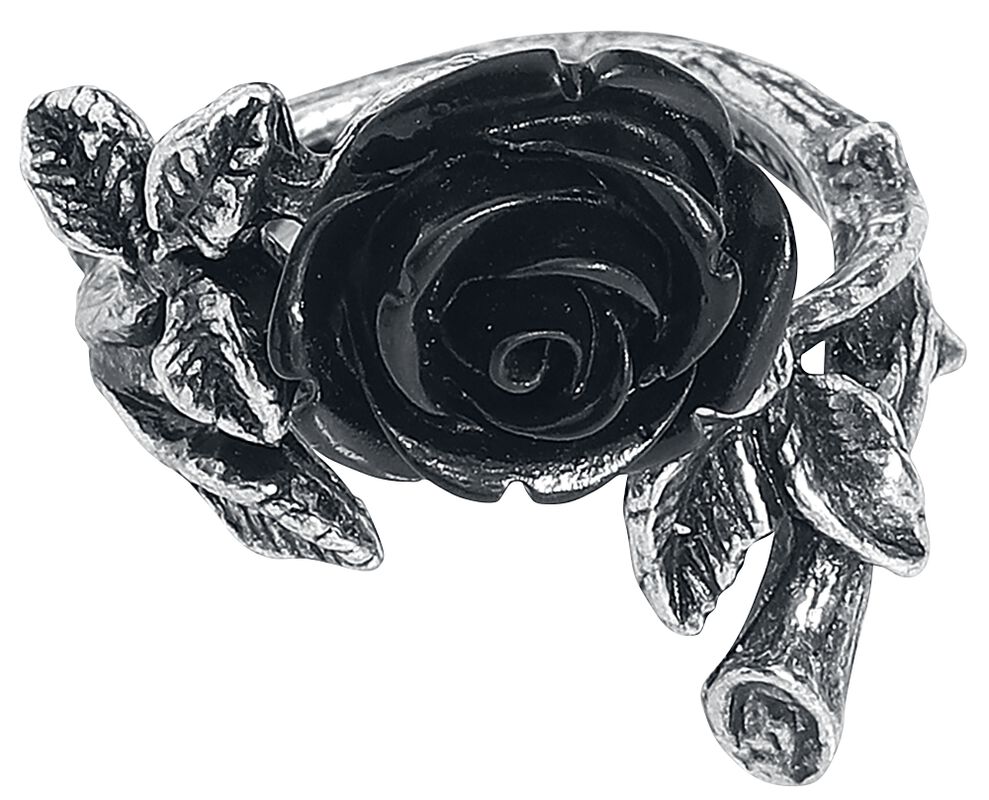 Wild Black Rose