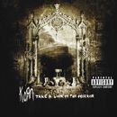 Take a look in the mirror, Korn, CD