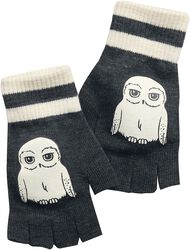 Hedwig, Harry Potter, Guantes sin dedos