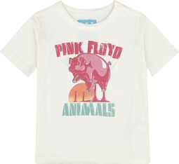 Amplified Collection - Kids - Animal Balloon, Pink Floyd, Camiseta