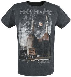 Animals, Pink Floyd, Camiseta