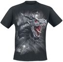 Dragon's Cry, Spiral, Camiseta