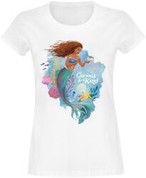Curious and Kind, Ariel La Sirenita, Camiseta