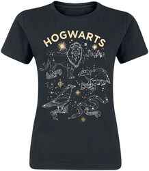 Hogwarts, Harry Potter, Camiseta
