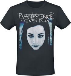 Fallen, Evanescence, Camiseta