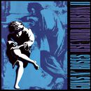 Use your illusion II, Guns N' Roses, LP