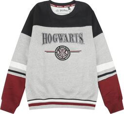 Kids - Hogwarts - England Made, Harry Potter, Sudadera