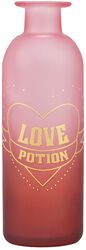 Love Potion - Vaso floral, Harry Potter, Artículos De Decoración