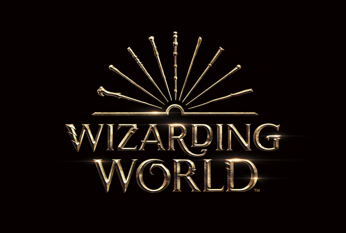 harry potter wizarding world